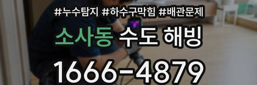 소사동 수도 해빙