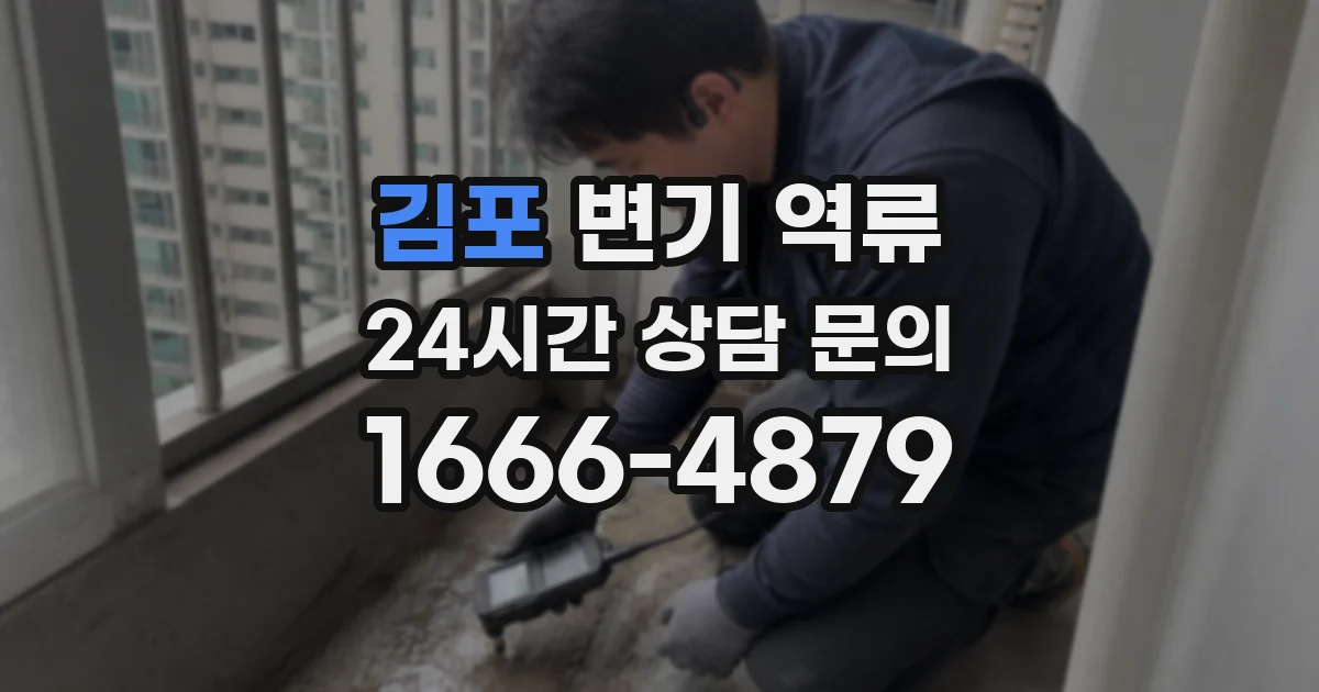 김포 변기 역류