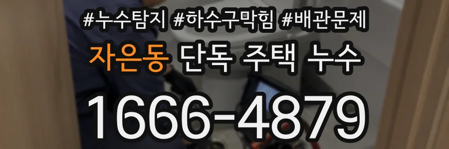 자은동 단독 주택 누수