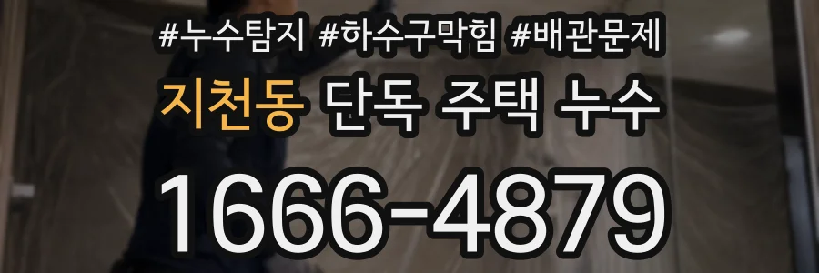 지천동 단독 주택 누수