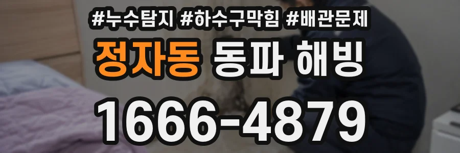 정자동 동파 해빙