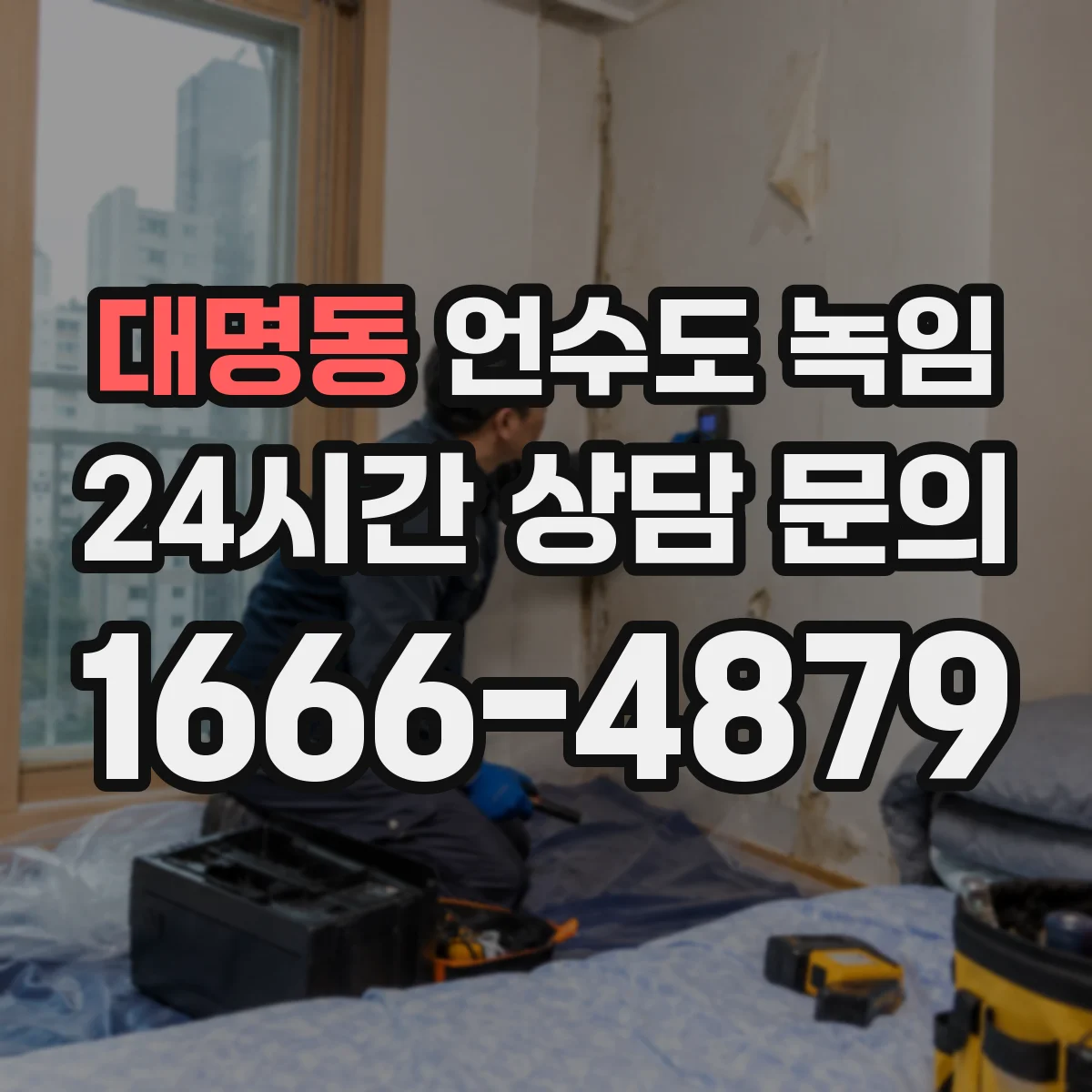 대명동 언수도 녹임