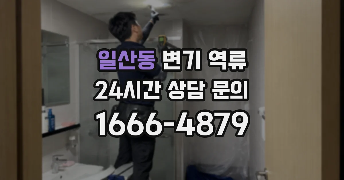 일산동 변기 역류