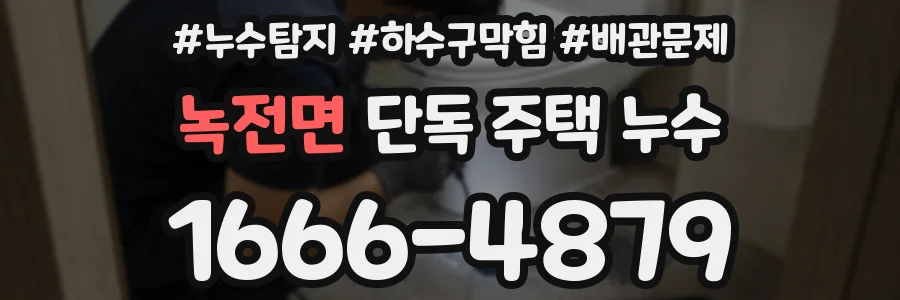 녹전면 단독 주택 누수