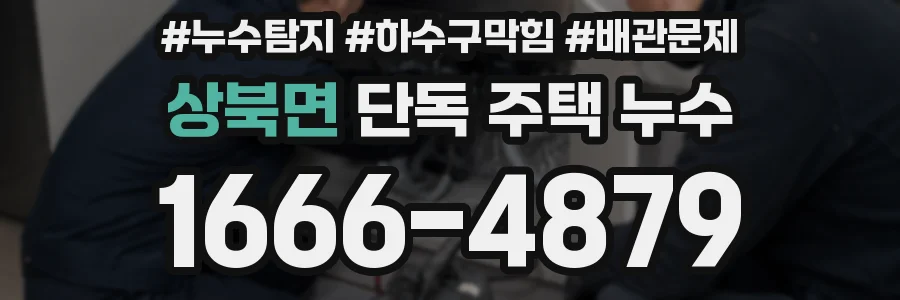 상북면 단독 주택 누수