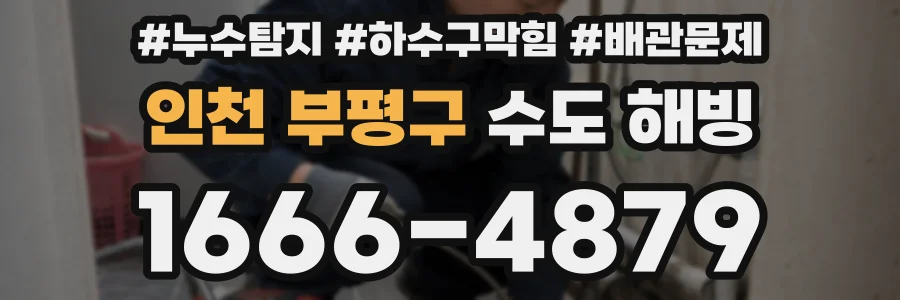 인천 부평구 수도 해빙
