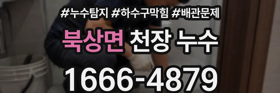 북상면 천장 누수