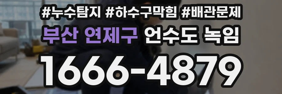 부산 연제구 언수도 녹임