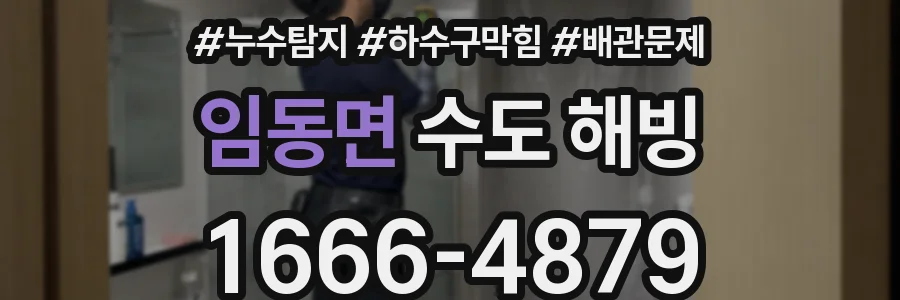 임동면 수도 해빙