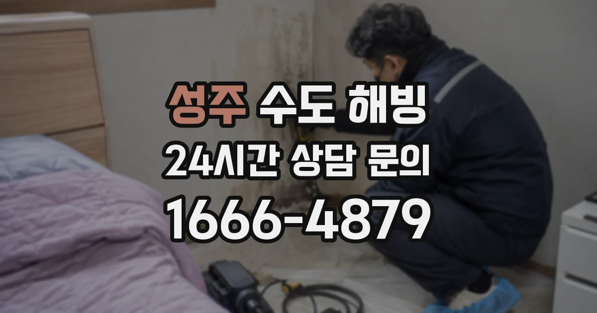 성주 수도 해빙
