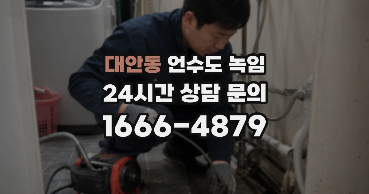 대안동 언수도 녹임
