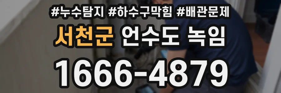 서천군 언수도 녹임