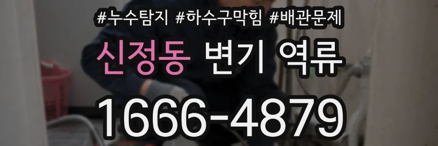 신정동 변기 역류
