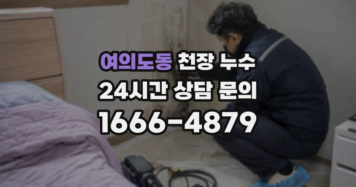 여의도동 천장 누수