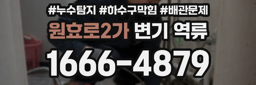 원효로2가 변기 역류