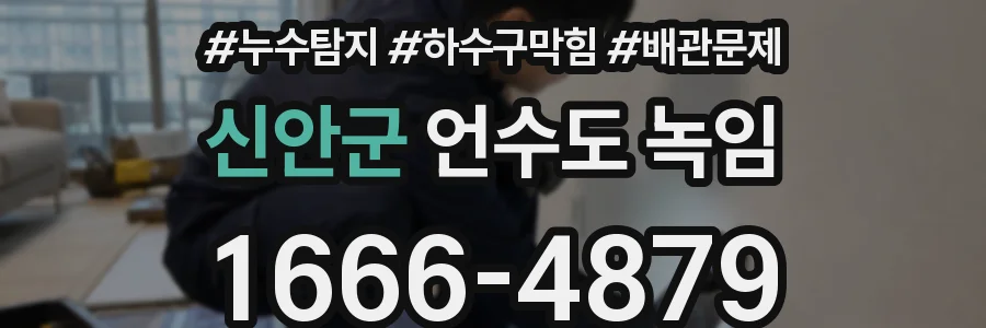 신안군 언수도 녹임