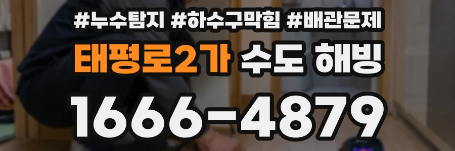 태평로2가 수도 해빙