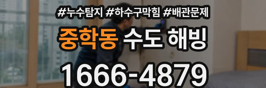 중학동 수도 해빙