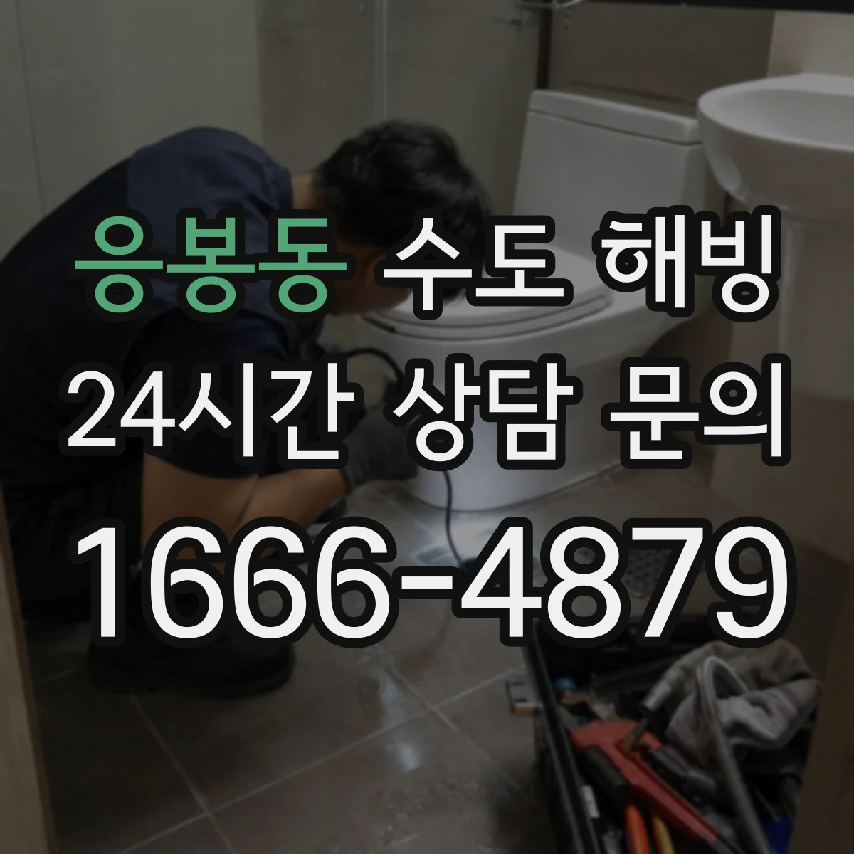응봉동 수도 해빙