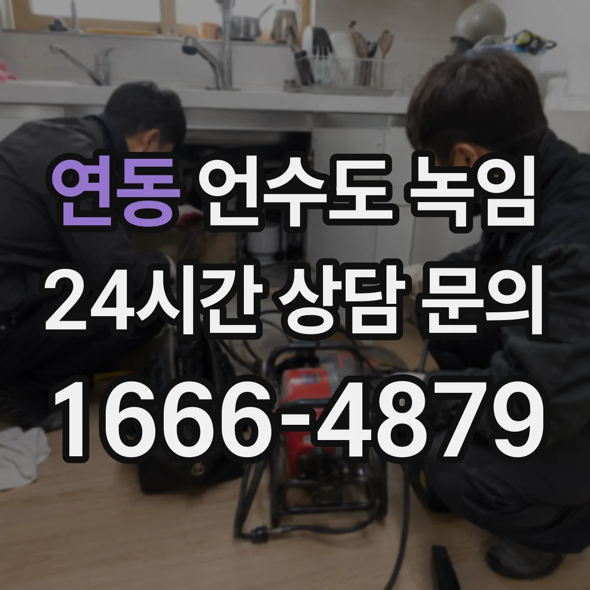 연동 언수도 녹임