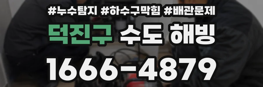 덕진구 수도 해빙