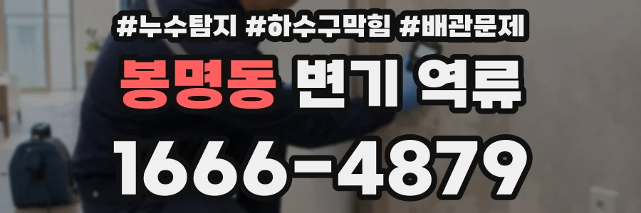 봉명동 변기 역류