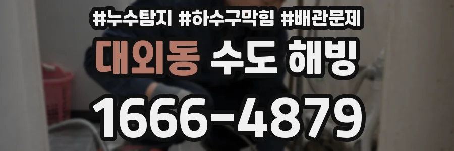 대외동 수도 해빙
