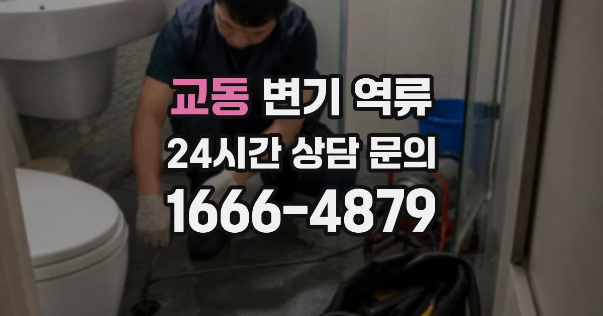 교동 변기 역류