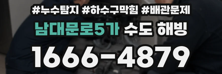 남대문로5가 수도 해빙