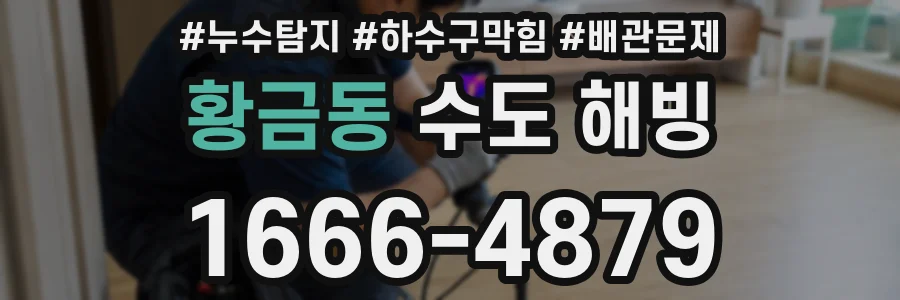 황금동 수도 해빙