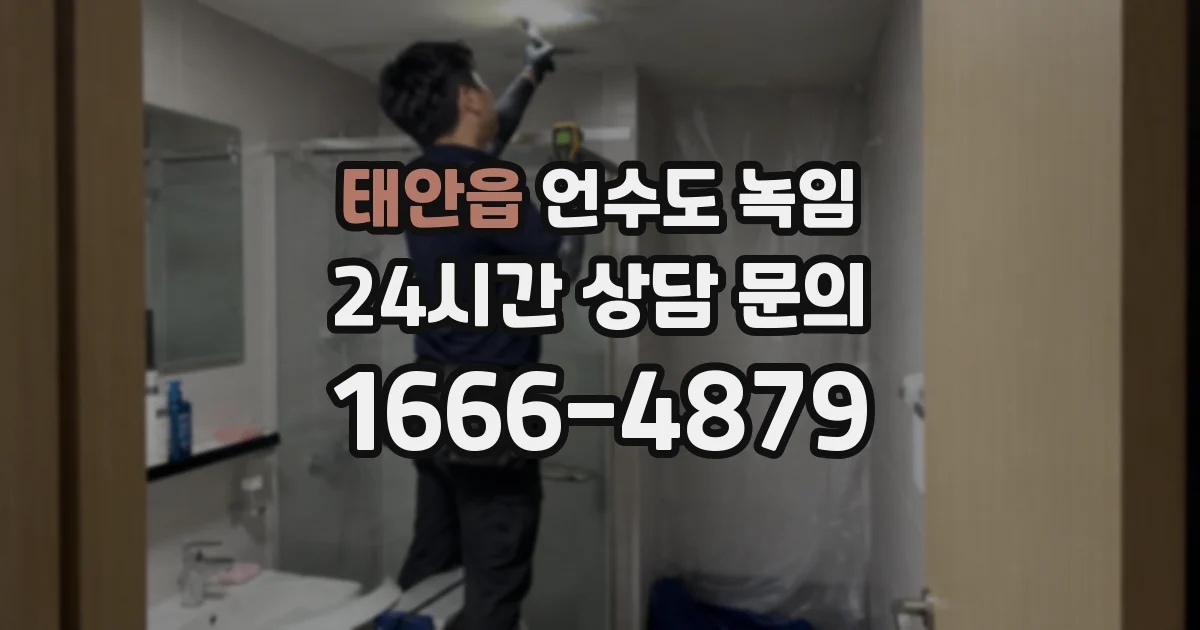태안읍 언수도 녹임