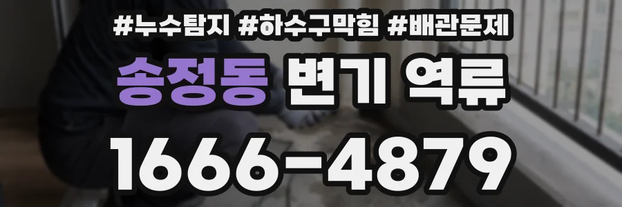 송정동 변기 역류