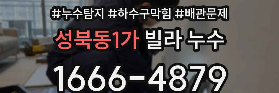 성북동1가 빌라 누수