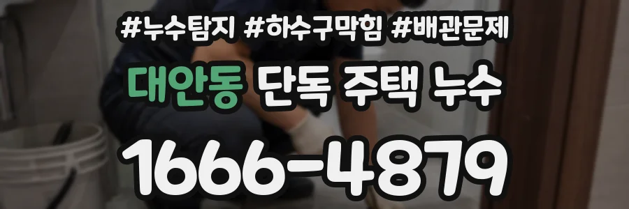 대안동 단독 주택 누수