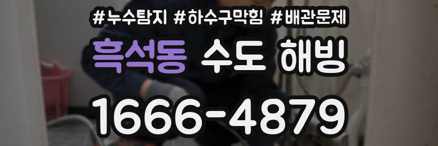 흑석동 수도 해빙