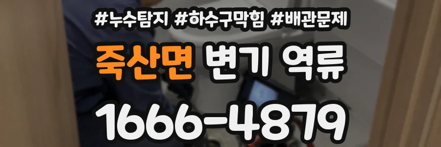 죽산면 변기 역류