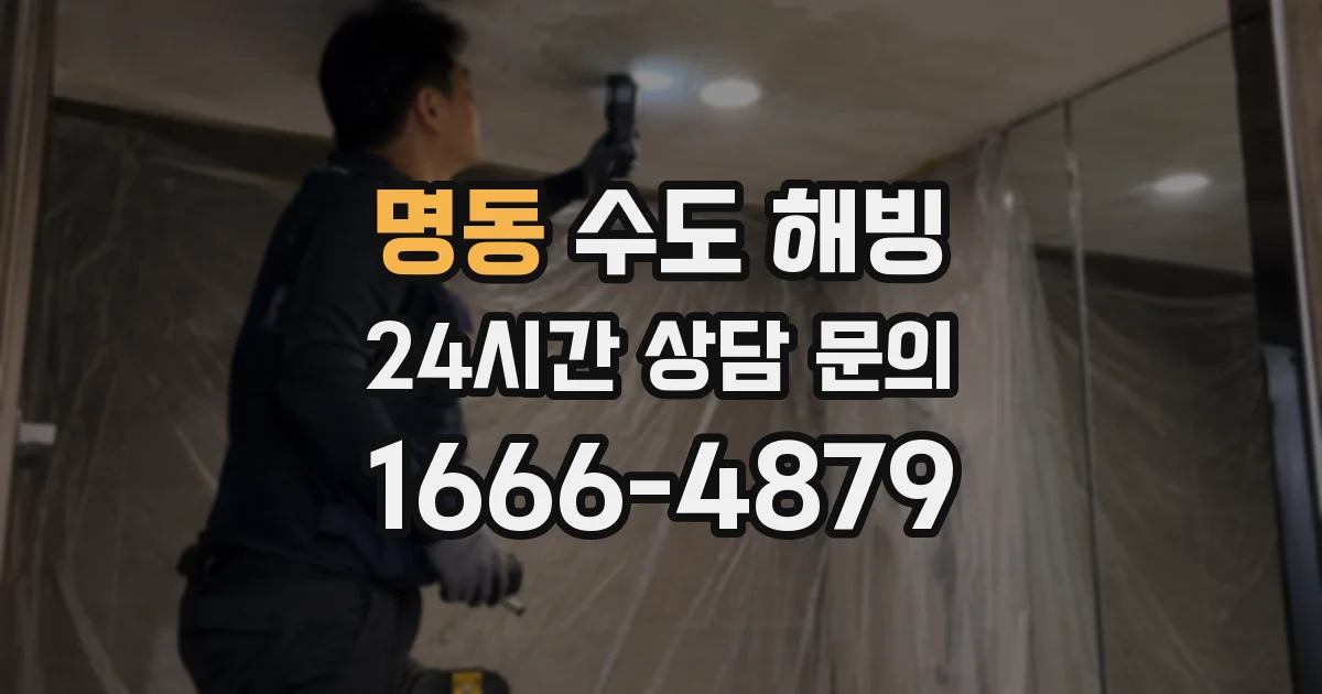 명동 수도 해빙