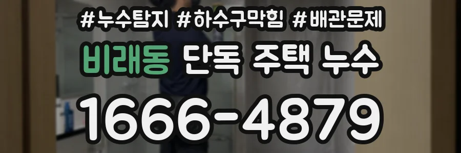 비래동 단독 주택 누수