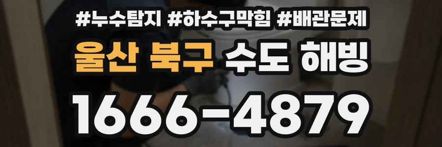 울산 북구 수도 해빙