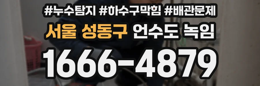 서울 성동구 언수도 녹임