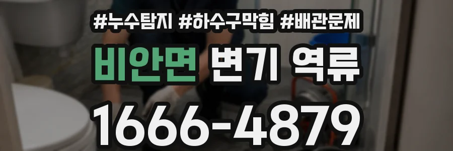 비안면 변기 역류