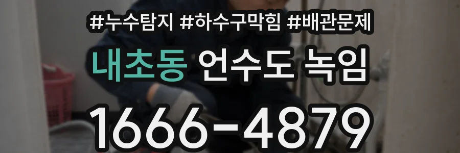 내초동 언수도 녹임