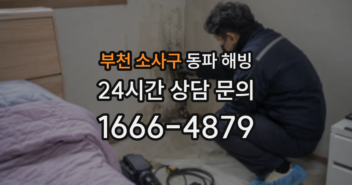 부천 소사구 동파 해빙