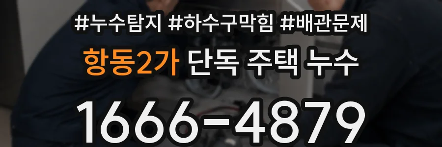 항동2가 단독 주택 누수