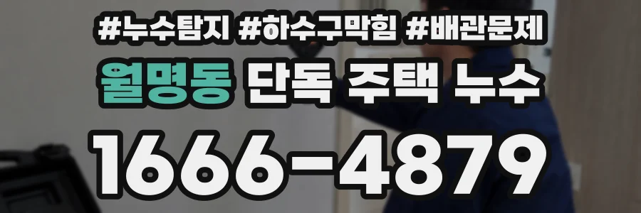 월명동 단독 주택 누수