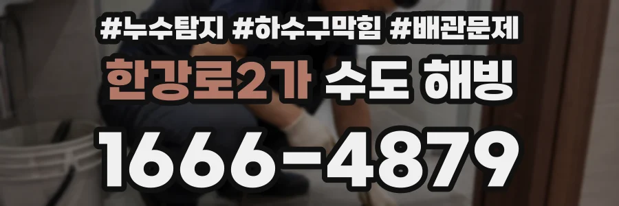 한강로2가 수도 해빙