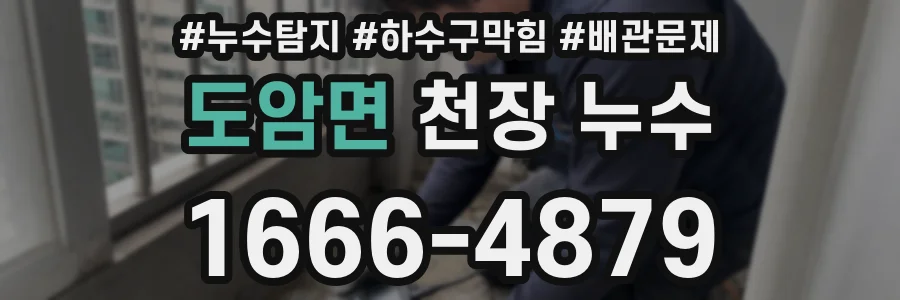 도암면 천장 누수