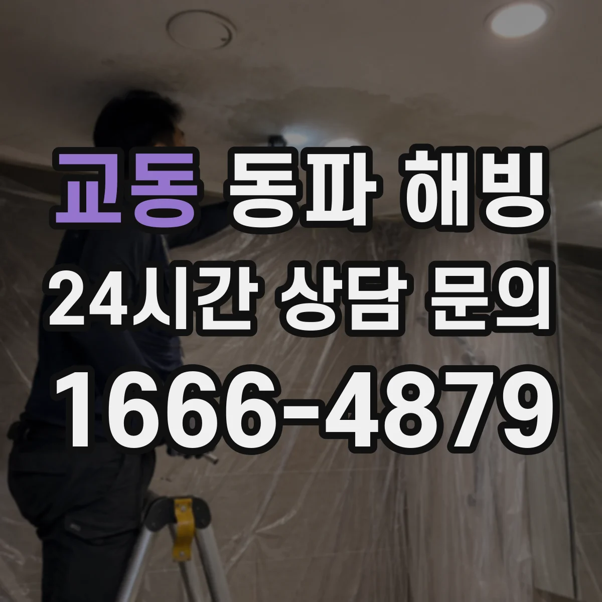 교동 동파 해빙