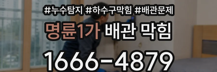 명륜1가 배관 막힘