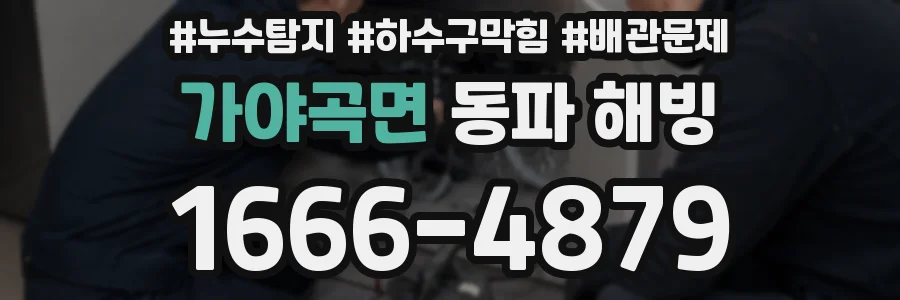 가야곡면 동파 해빙